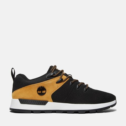 Sneaker Bassa Stringata Sprint Trekker Da Uomo In Colore Colore - Timberland - Modalova