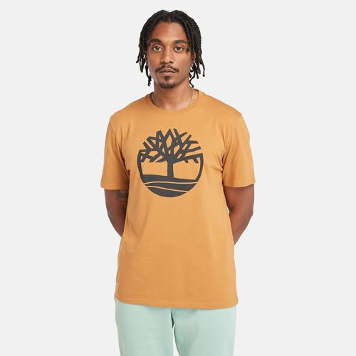 T-shirt Con Logo Ad Albero Kennebec River Da Uomo In Chiaro - Timberland - Modalova