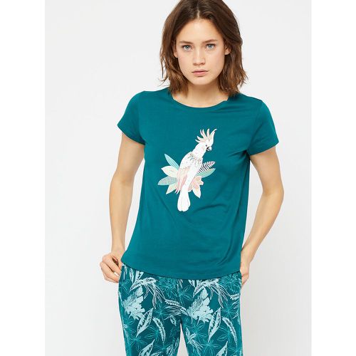 T-shirt aus bio-baumwolle mit papagei-print - Etam - Modalova