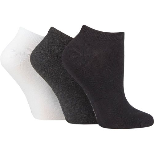 Women's 3 Pair Bamboo Trainer Socks with Smooth Toe Seams Black / Charcoal / White 4-8 - SockShop - Modalova