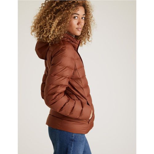 Feather & Down Puffer Jacket brown - Marks & Spencer - Modalova