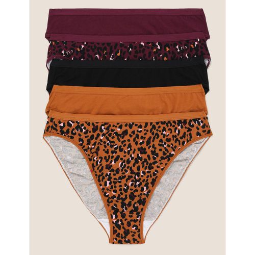 Pk Cotton Lycra® Leopard Print High Leg Knickers purple - Marks & Spencer - Modalova