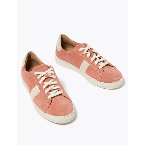 Suede Lace Up Side Stripe Trainers - Marks & Spencer - Modalova