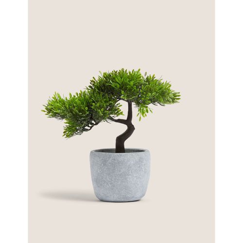 Artificial Bonsai Tree in Concrete Pot - Marks & Spencer - Modalova
