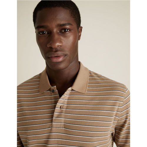 Pure Cotton Pique Striped Polo Shirt brown - Marks & Spencer - Modalova