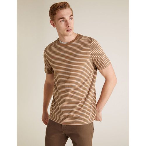 Pure Cotton Striped T-Shirt brown - Marks & Spencer - Modalova
