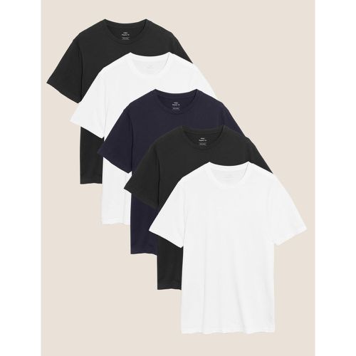 Pack Pure Cotton T-shirts navy - Marks & Spencer - Modalova