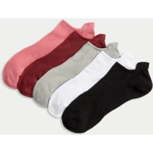 Womens 5pk Microfibre Trainer Liners™ - - Goodmove - Modalova