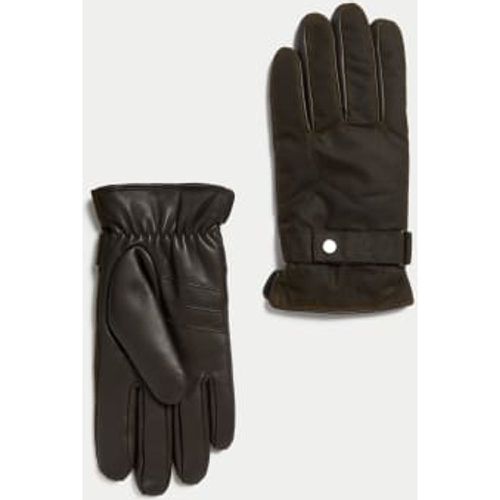 Mens Waxed Cotton Gloves with Stormwear - - M&S Collection - Modalova