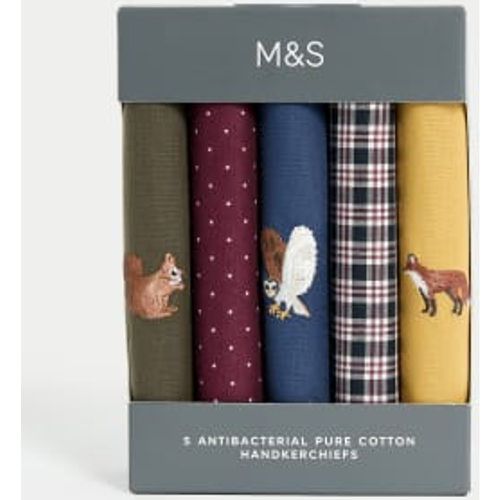 Mens 5pk Antibacterial Pure Cotton Handkerchiefs - - M&S Collection - Modalova