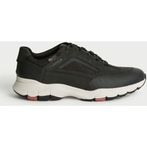 Mens Waterproof Lace Up Walking Shoes - - M&S Collection - Modalova