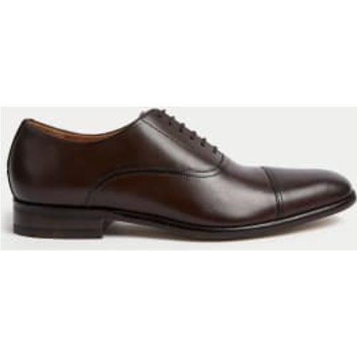 Mens Leather Oxford Shoes - - Autograph - Modalova