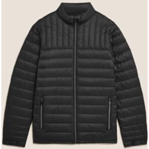 Mens Feather and Down Puffer Jacket - - M&S Collection - Modalova