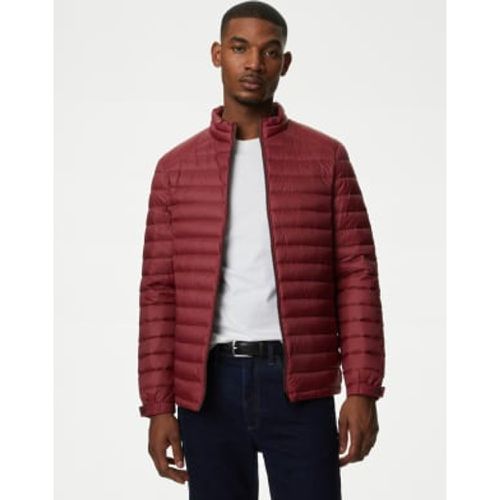 Mens Feather and Down Puffer Jacket - - M&S Collection - Modalova