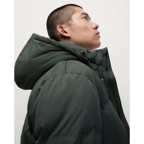 Mens Feather and Down Padded Hooded Puffer Jacket - - M&S Collection - Modalova