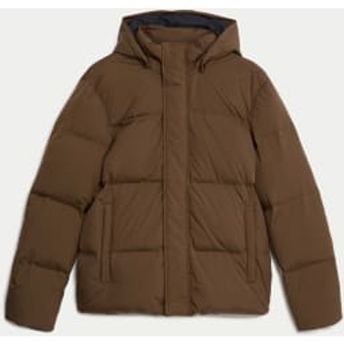 Mens Feather and Down Padded Hooded Puffer Jacket - - M&S Collection - Modalova