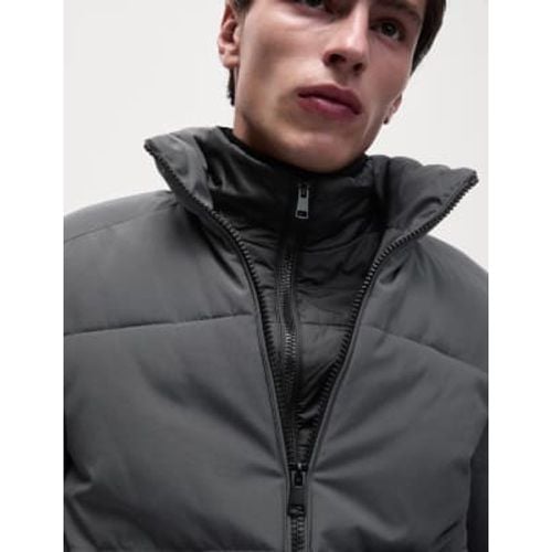 Mens Double Collar Puffer Jacket with Thermowarmth™ - - M&S Collection - Modalova