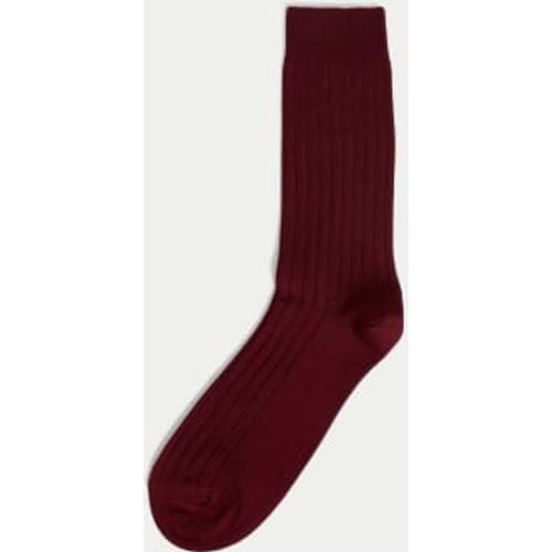 Mens 1pk Egyptian Cotton Rich Ribbed Socks - - Autograph - Modalova