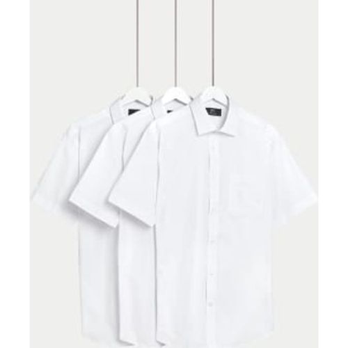 Mens 3pk Regular Fit Easy Iron Short Sleeve Shirts - - M&S Collection - Modalova