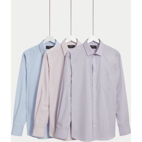 Mens 3pk Regular Fit Easy Iron Long Sleeve Shirts - M&S Collection - Modalova