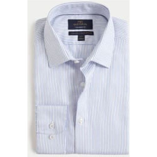 Mens Tailored Fit Luxury Pure Cotton Striped Shirt - - M&S SARTORIAL - Modalova