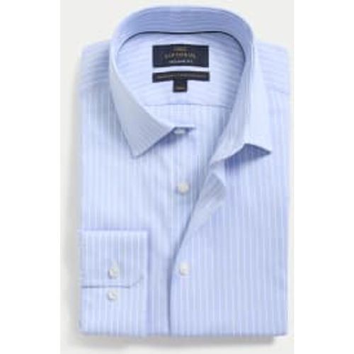 Mens Regular Fit Luxury Cotton Stripe Shirt - - M&S SARTORIAL - Modalova