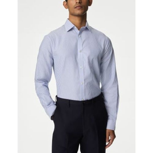 Mens Regular Fit Non Iron Pure Cotton Shirt - - M&S Collection - Modalova