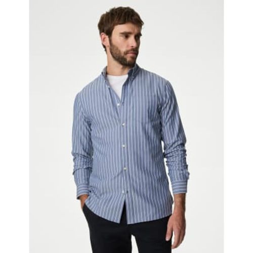 Mens Cotton Rich Twill Striped Oxford Shirt - - M&S Collection - Modalova