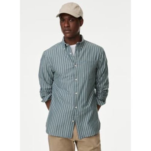 Mens Cotton Rich Twill Striped Oxford Shirt - - M&S Collection - Modalova