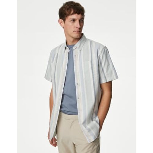 Mens Pure Cotton Striped Oxford Shirt - - M&S Collection - Modalova