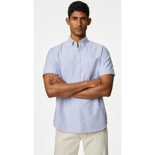 Mens Pure Cotton Striped Oxford Shirt - - M&S Collection - Modalova