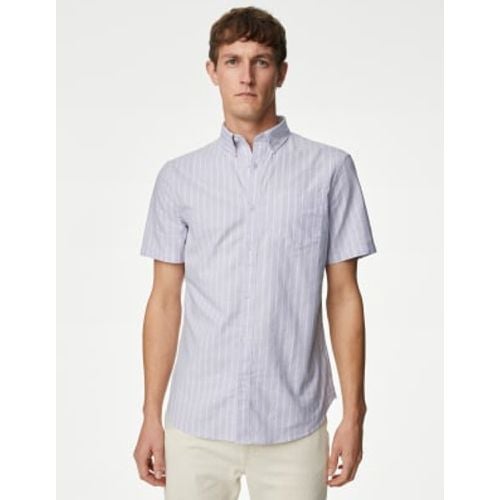 Mens Pure Cotton Striped Oxford Shirt - - M&S Collection - Modalova