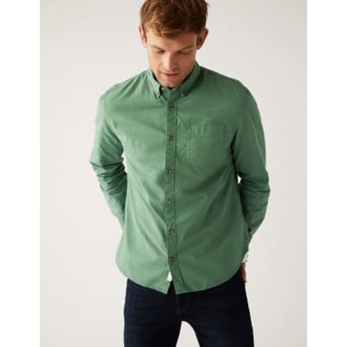 Mens Pure Cotton Oxford Shirt - - M&S Collection - Modalova