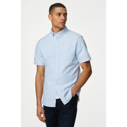 Mens Pure Cotton Oxford Shirt - - M&S Collection - Modalova