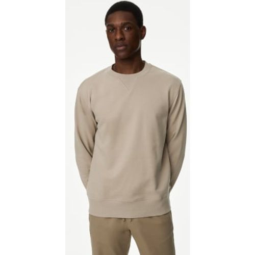 Mens Pure Cotton Crew Neck Sweatshirt - - M&S Collection - Modalova