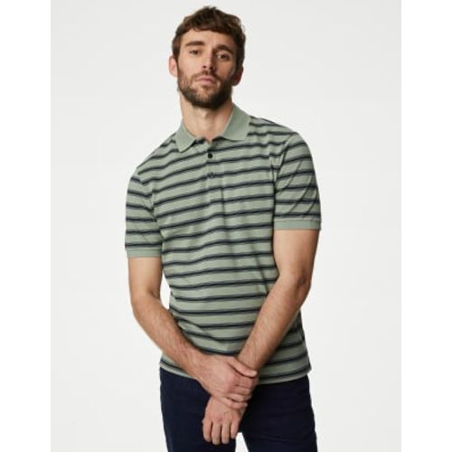 Mens Pure Cotton Striped Polo Shirt - - M&S Collection - Modalova