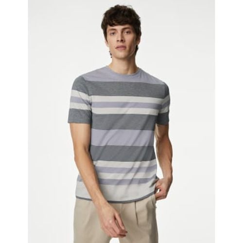 Mens Pure Cotton Striped T-Shirt - - Autograph - Modalova