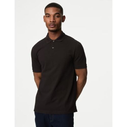 Mens Pure Cotton Pique Regular Fit Polo Shirt - - M&S Collection - Modalova