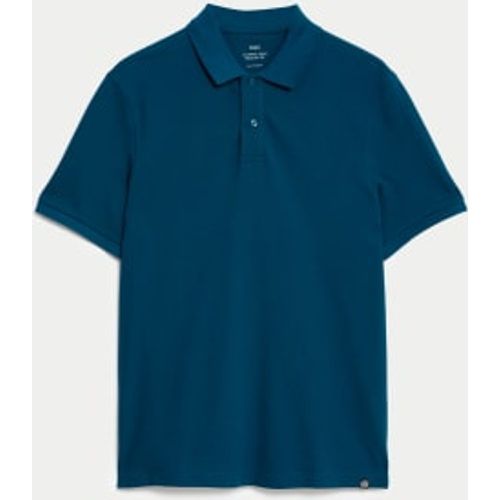 Mens Pure Cotton Pique Regular Fit Polo Shirt - - M&S Collection - Modalova