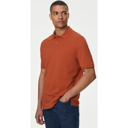 Mens Pure Cotton Pique Regular Fit Polo Shirt - - M&S Collection - Modalova