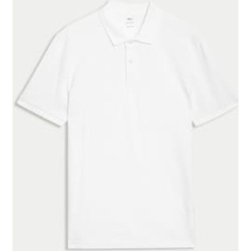 Mens Pure Cotton Pique Regular Fit Polo Shirt - - M&S Collection - Modalova