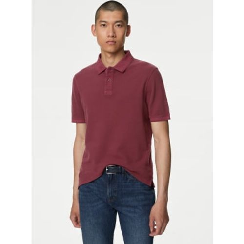 Mens Pure Cotton Polo Shirt - - M&S Collection - Modalova