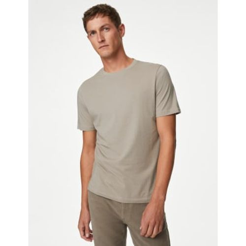 Mens Regular Fit Pure Cotton Crew Neck T-Shirt - - M&S Collection - Modalova