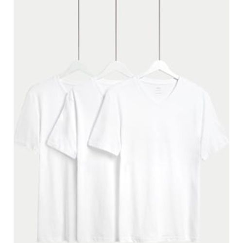 Mens 3pk Pure Cotton V-Neck T-Shirts - - M&S Collection - Modalova