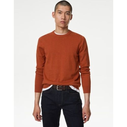 Mens Pure Cotton Crew Neck Jumper - - M&S Collection - Modalova