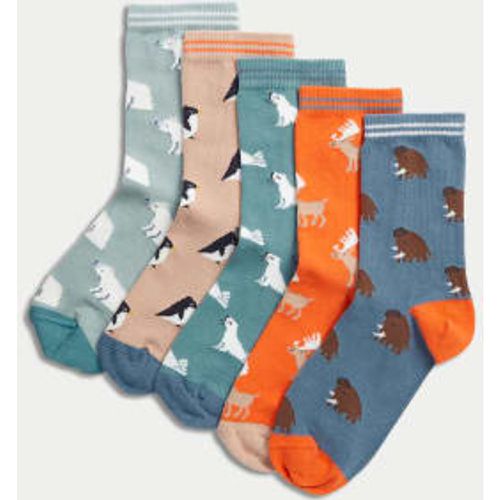 Boys 5pk Cotton Rich Animal Socks (6 Small - 7 Large) - - M&S Collection - Modalova