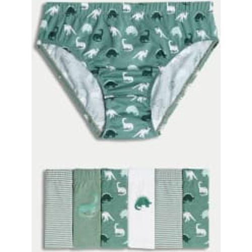 Boys 7pk Pure Cotton Dinosaur & Striped Briefs (2-8 Yrs) - - M&S Collection - Modalova