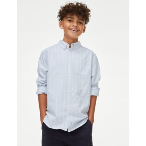 Boys Pure Cotton Striped Oxford Shirt (6-16 Yrs) - - M&S Collection - Modalova