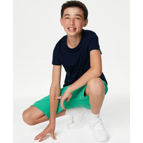 Boys Pure Cotton Plain T-Shirt (6-16 Yrs) - - M&S Collection - Modalova