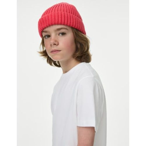 Boys Pure Cotton Plain T-Shirt (6-16 Yrs) - - M&S Collection - Modalova